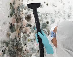 Mold Documentation for Insurance Claims in South Farmingdale, NY